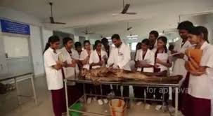 Practical Class of Saveetha Medical College and Hospital, Chennai in Chennai	