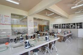 Image for Dr. D. Y. Patil College of Ayurved & Research Centre in Pune