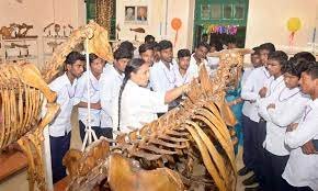 Image for  College Of Veterinary Science (CVC), Tirupati  in Tirupati