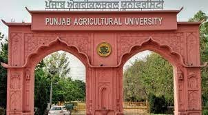 Punjab Agriculture University Banner