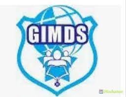 GIMDS for logo