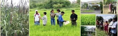 Practical Class by National Institute of Agricultural Extension Management in Hyderabad	