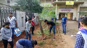 Social Work by the students of Gayatri College of Science & Management, Srikakulam in Srikakulam	