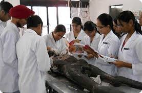 Practical Class at govt. medical college & hospital chandigarh in Chandigarh