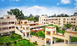 Overview Apeejay Stya University,Gurugram in Gurugram