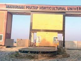 Main Gate Maharana Pratap Horticultural University in Karnal