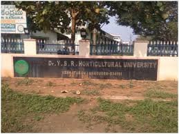 Dr. Y.S.R. Horticultural University Banner