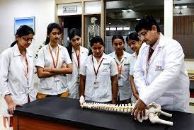 Image for Dr. D. Y. Patil College of Physiotherapy in Pune
