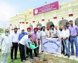 Plantation at Jagat Guru Nanak Dev Punjab State Open University in Patiala