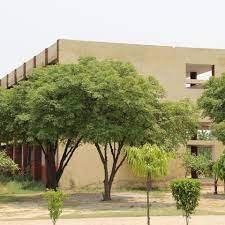 Campus Guru Nanak Nav Bharat College in Kapurthala	