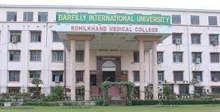 Bareilly International University logo