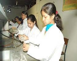 Image for Bhartiya Institute of Professional Studies (BIPS), Ujjain in Ujjain
