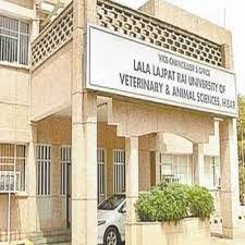 Lala Lajpat Rai University of Veterinary & Animal Sciences [LLRUVAS], Hisar:  Courses, Fees, Placements