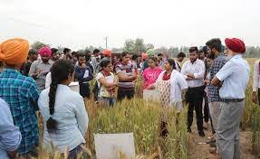 Practical Class at Punjab Agriculture University in Patiala