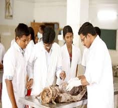 Practical Class of Sree Balaji Medical College and Hospital Chennai in Chennai	