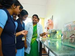 Image for Koyili College of Nursing, Kannur  in Alappuzha