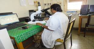 Laboratory of Cancer Institute WIA, Chennai in Chennai	