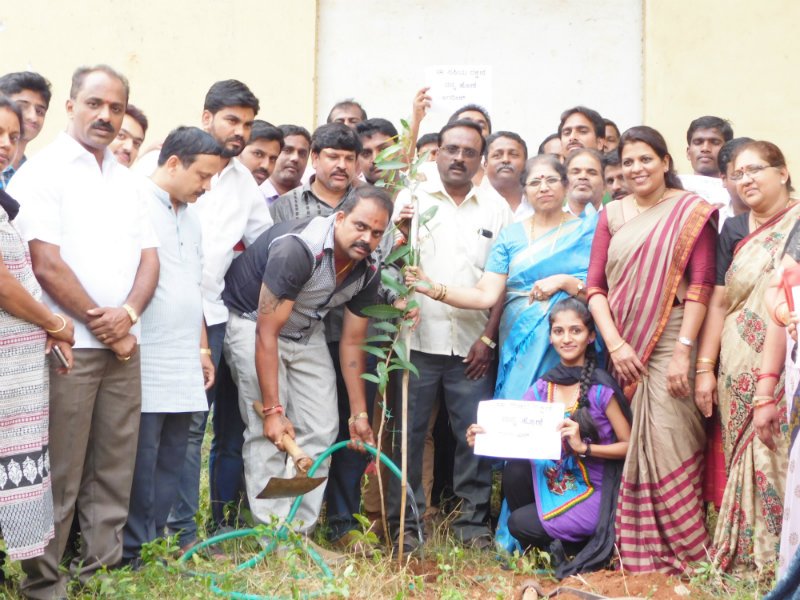 Plantation at KSGH Music and Performing Arts University in Mysore