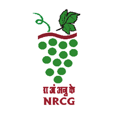 NRCG  Logo