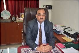 Professor The Glocal University in Saharanpur
