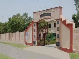 College  Tau Devi Lal Government College for Women Sonipat in Sonipat