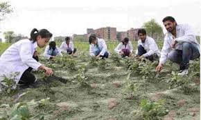 Plantation Photo Acharaya N.G.Ranga Agricultural University in Guntur