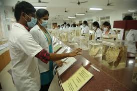 Practical Class of Sri Muthukumaran Medical College Hospital and Research Institute, Chennai in Chennai	