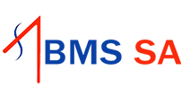 BMS School of Architecture Logo