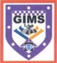 GIMS for logo