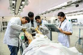 Practical Class of All India Institute of Medical Sciences in New Delhi