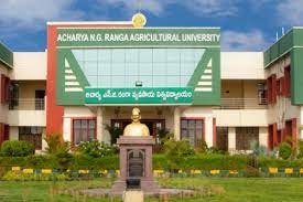 Acharaya N.G.Ranga Agricultural University Banner
