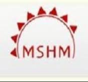 MSHM Logo