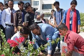 Plantation R.N.B. Global University in Bikaner