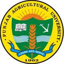 Punjab Agriculture University Logo