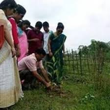 Plantation Photo  Assam Rajiv Gandhi University of Cooperative Management in Sivasagar	