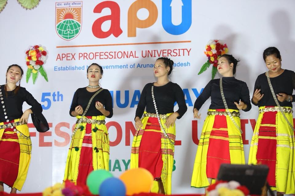 Programme Apex Professional University in East Siang	