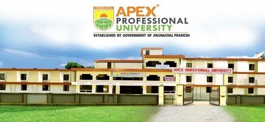 Apex Professional University Banner