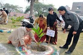Plantation Dr. Bhim Rao Ambedkar Govt. Girls P. G. College in Fatehpur