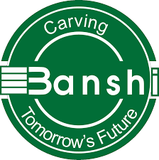 Banshi College of Education logo