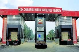 Main Gate Chaudhary Charan Singh Haryana Agricultural University in Hisar	