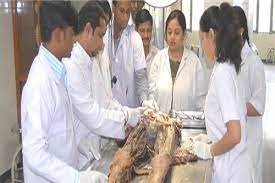 Class At Vardhman Mahavir Medical College & Safdarjung Hospital in New Delhi