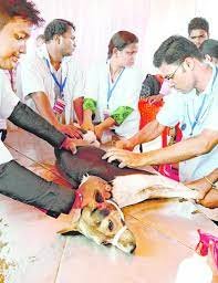 health camp College Of Veterinary Science & Animal Husbandry in Bhubaneswar