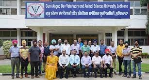 Staff at Guru Angad Dev Veterinary & Animal Sciences University in Patiala