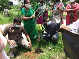Tree Plant Photo Ganga Devi Mahila Mahavidyalaya (GDMM) Kankarbagh, Patna in Patna