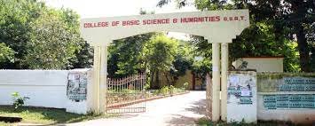 College of Basic Science and Humanities banner