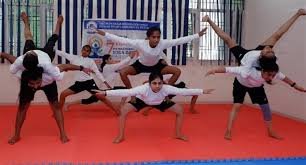 Function at The Maharaja Bhupinder Singh Punjab Sports University in Patiala