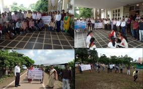 Students Activitie Dau Shri Vasudev Chandrakar Kamdhenu Vishwavidyalaya in Balod