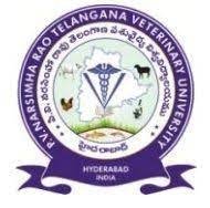 logo PVNRTVU 