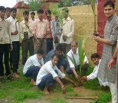 Tree Planting at Shree Somnath Sanskrit University in Ahmedabad