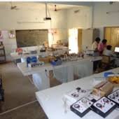 Laboratory of Sri Gurajada Appa Rao Government Degree College, Elamanchili in Visakhapatnam	